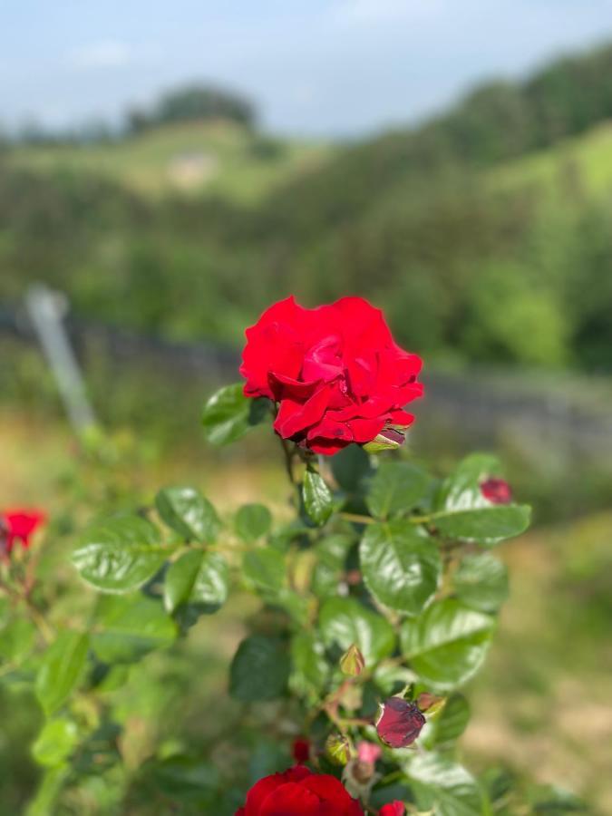 Trautenburg Stub'N Leutschach Buitenkant foto