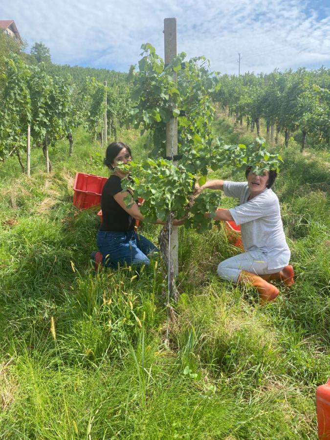 Trautenburg Stub'N Leutschach Buitenkant foto