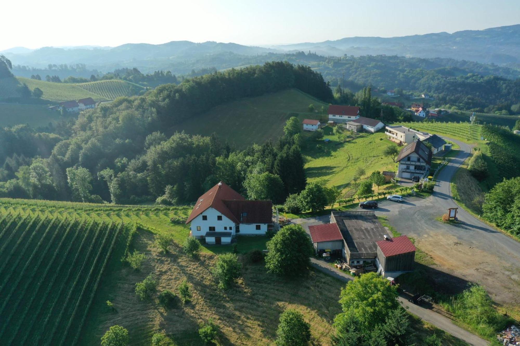 Trautenburg Stub'N Leutschach Buitenkant foto